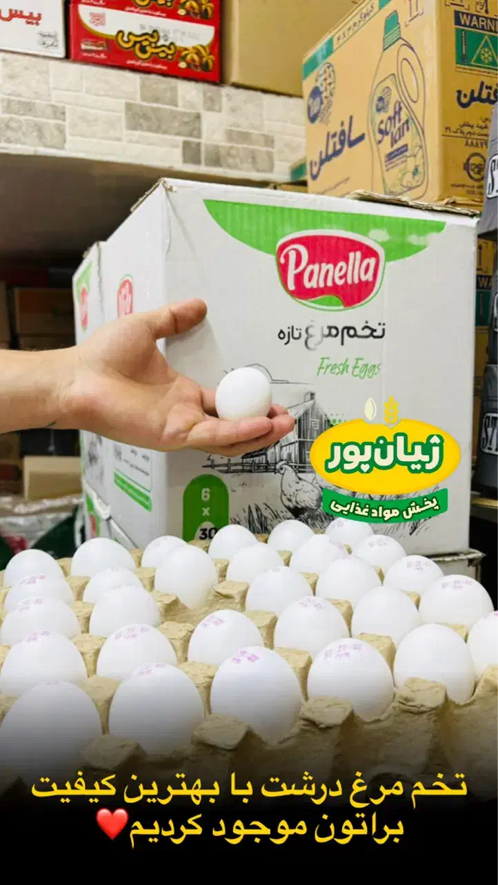 تخم مرغ دُرشت پانلا پخش ژیان پور|خوردنی و آشامیدنی|شوشتر, |دیوار