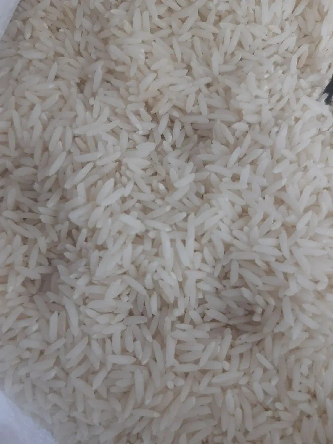 برنج دهکده|خوردنی و آشامیدنی|گرگان, |دیوار