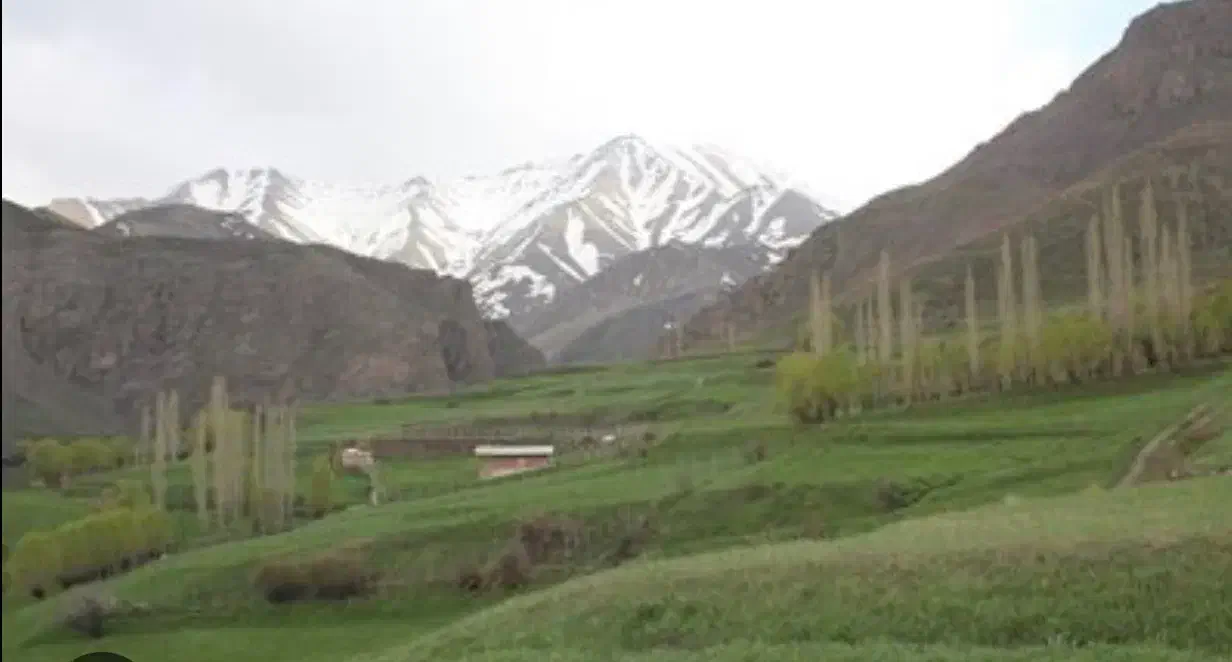 ۹۶۰ متر زمین|فروش زمین و ملک کلنگی|بلده, |دیوار