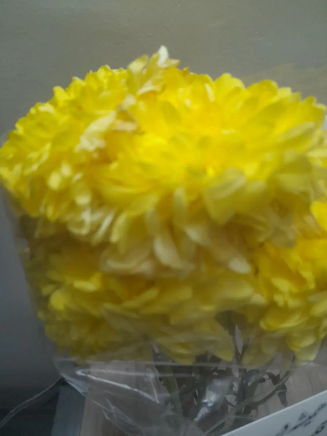 سیم کد۲|سیم‌کارت|پاکدشت, پاکدشت (مامازند)|دیوار