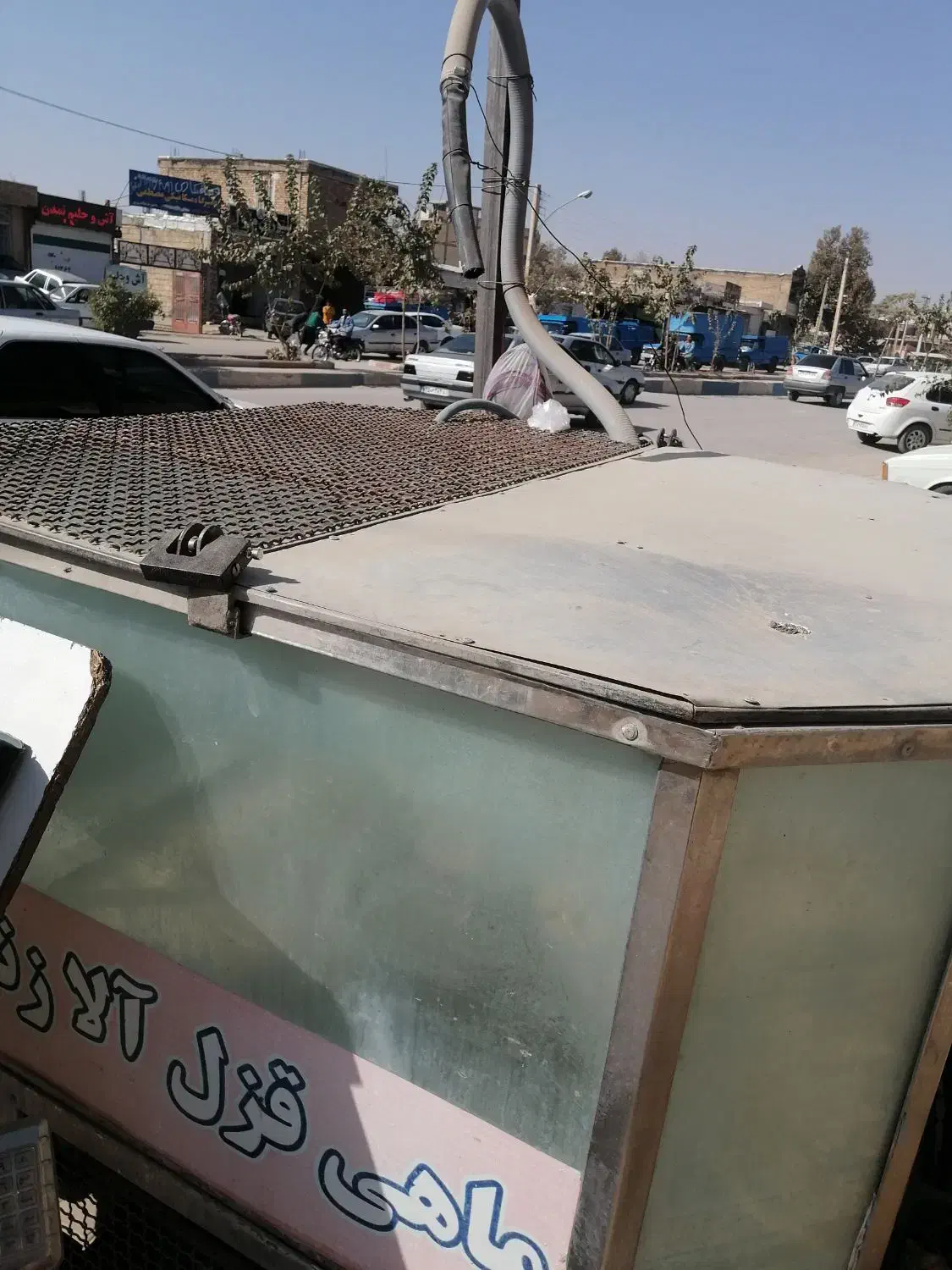 فروش آکواریوم ماهی زنده|ماهی|لردگان, |دیوار