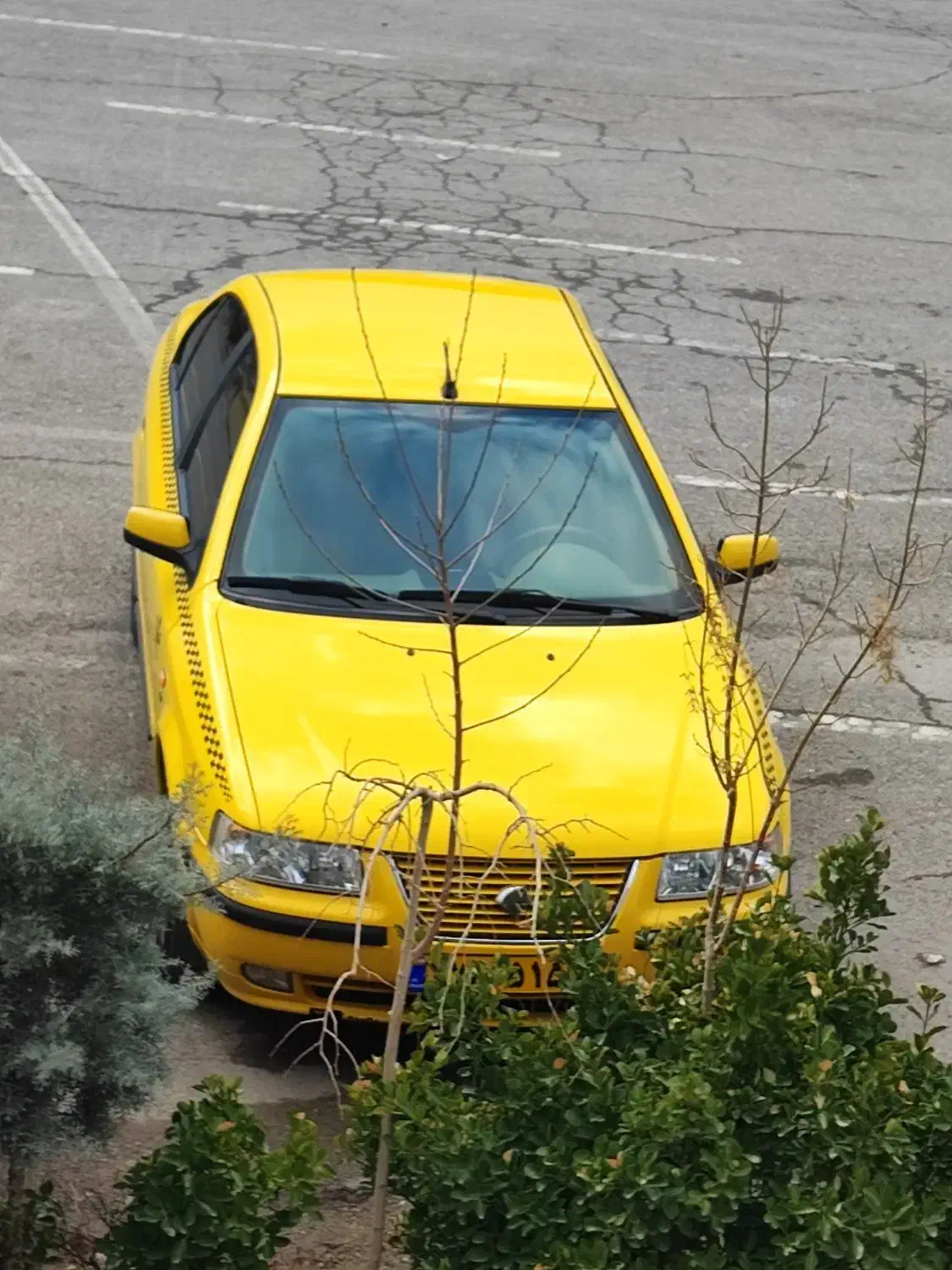 تاکسی سمند ef7مدل1401|خودرو سواری و وانت|همدان, |دیوار