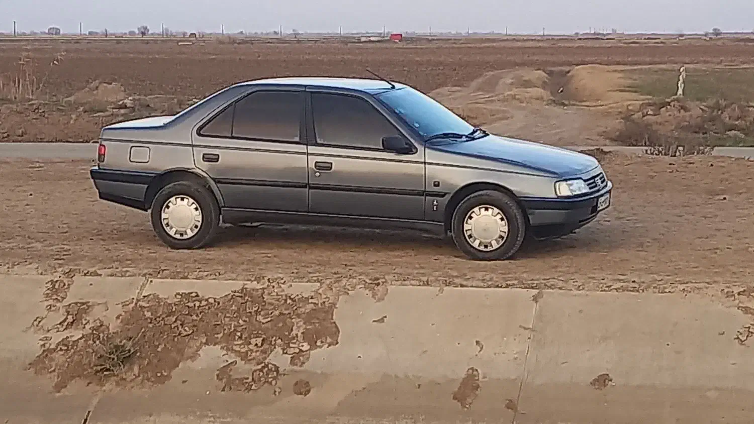 پژو405دوگانه شرکتی مدل95|خودرو سواری و وانت|پارس‌آباد, |دیوار