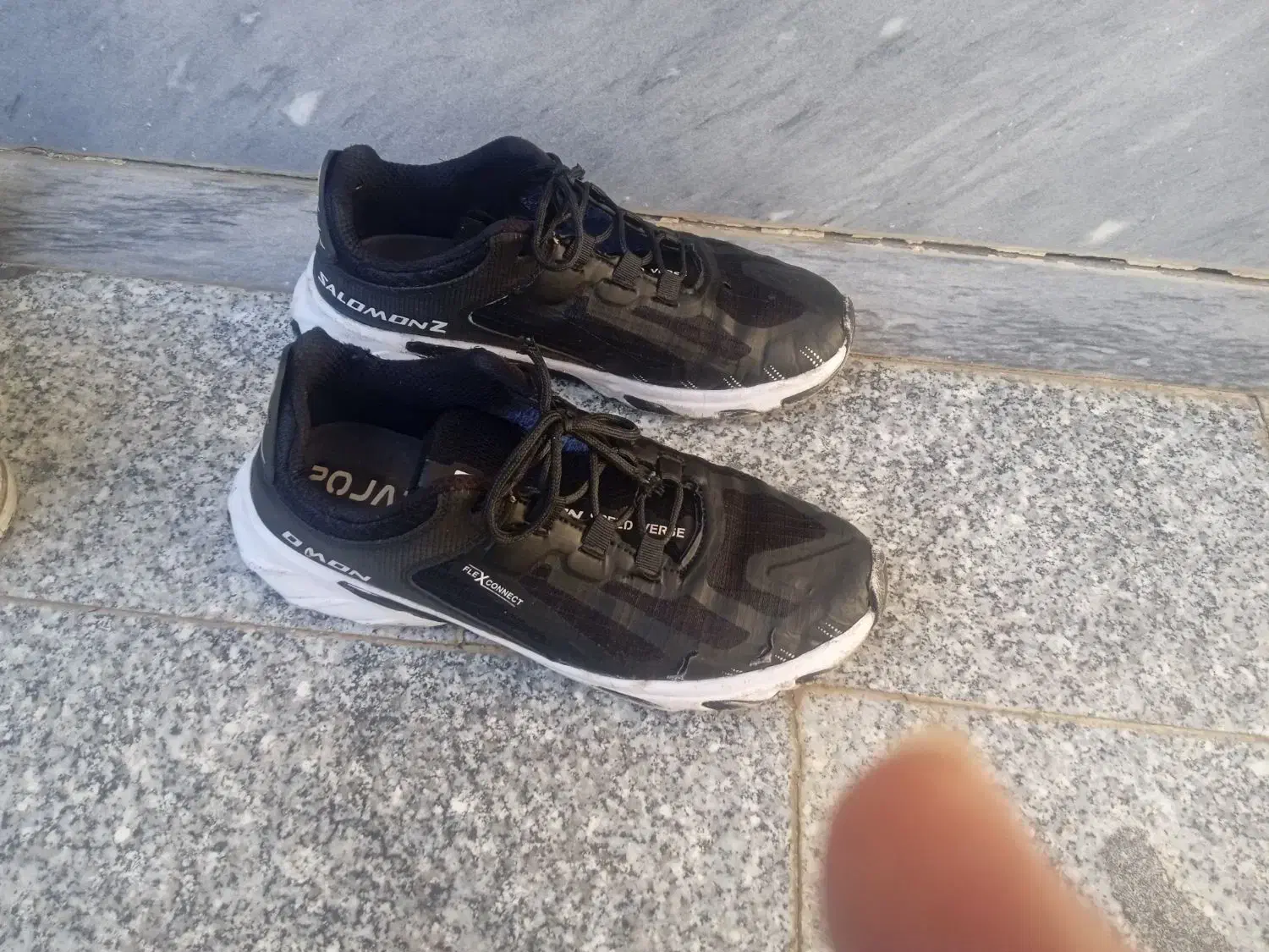 شماره ۴۳شماره ۴۲ هردوتاش پانصدتومان|کیف، کفش، کمربند|اهر, |دیوار