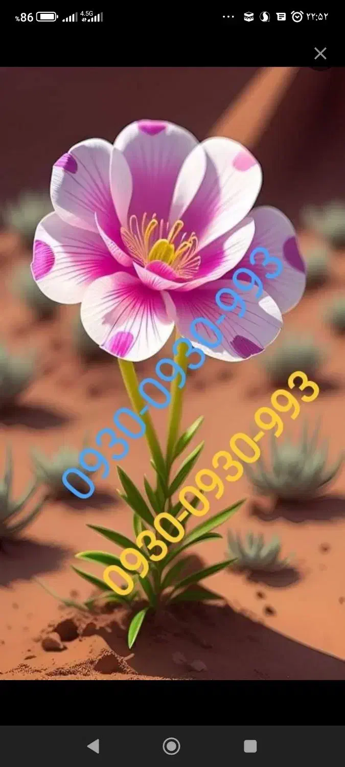 شماره رند|سیم‌کارت|اهواز, کیانپارس |دیوار