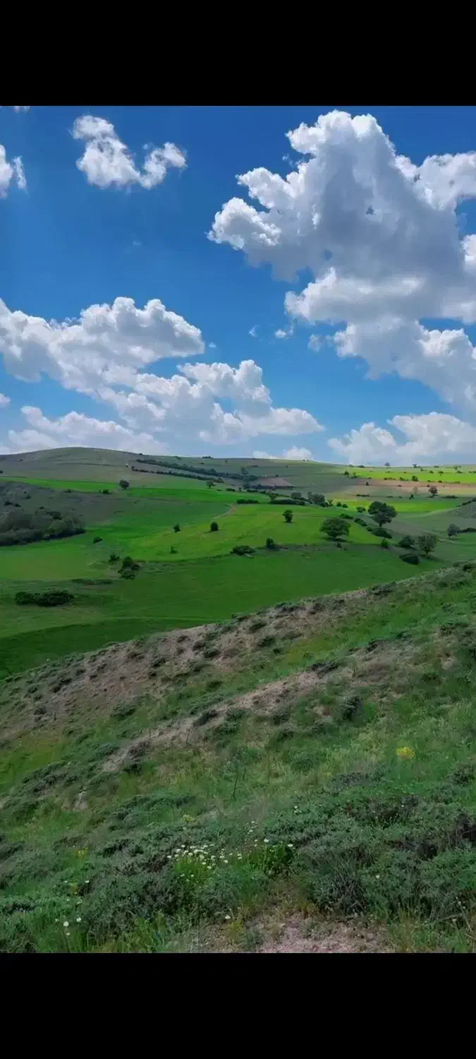 ۱۷۳۰۰ متر زمین باغی دیلمان تهاتربا خانه و خودرو|فروش زمین و ملک کلنگی|تهران, حبیب الله|دیوار
