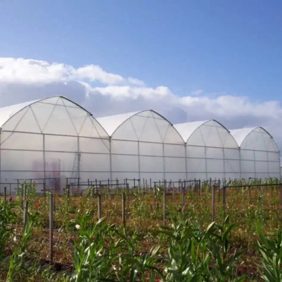 سازه های گلخانه ای صفر تا صد|مصالح و تجهیزات ساختمان|مشهد, خین عرب|دیوار