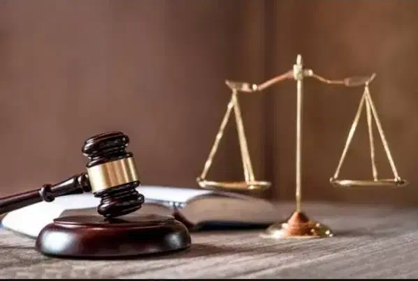 وکیل دادگستری|خدمات مالی، حسابداری، بیمه|شیراز, معالی‌آباد|دیوار