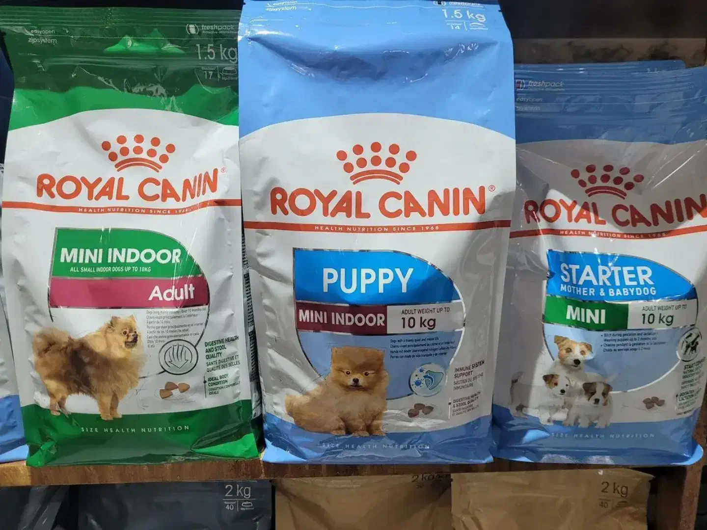 غذای خشک گربه عمده|لوازم جانبی حیوانات|بانه, |دیوار