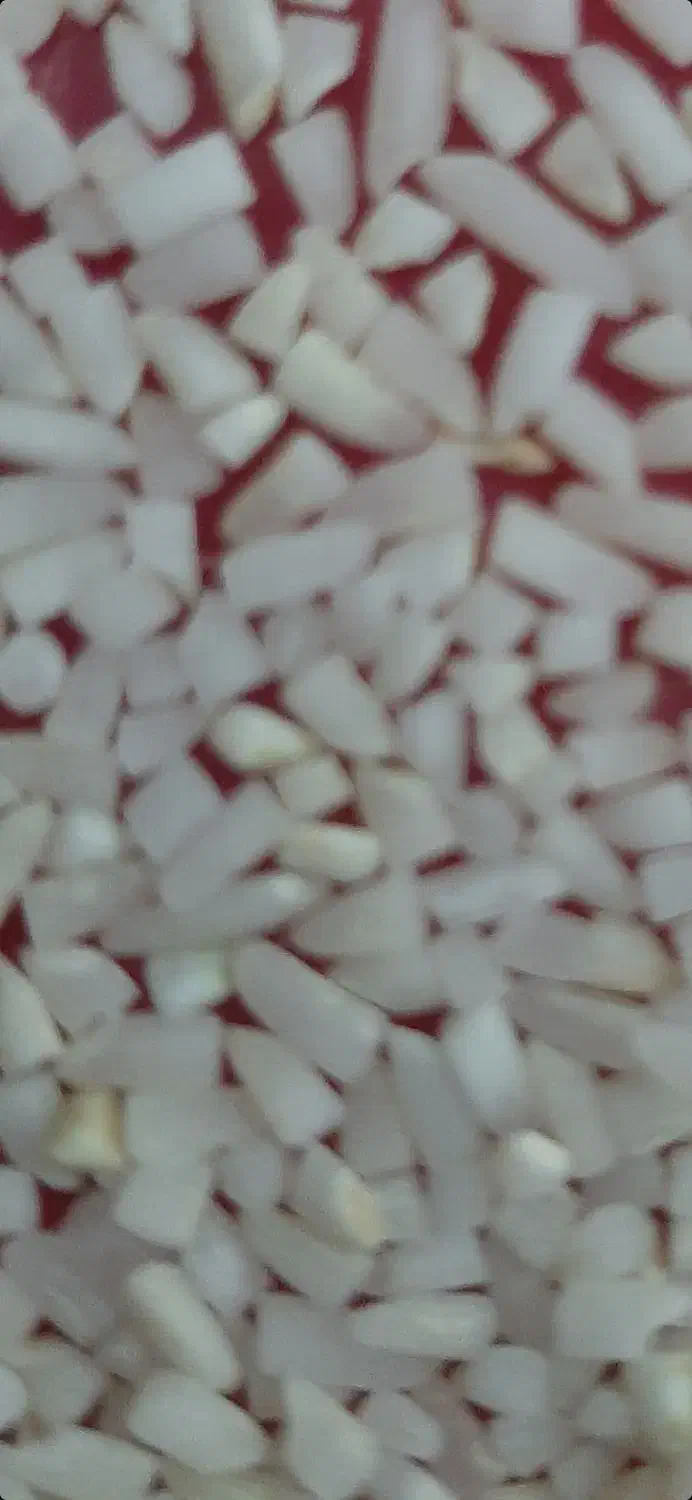 برنج لاشه دم سیاه امسالی|خوردنی و آشامیدنی|مینودشت, |دیوار