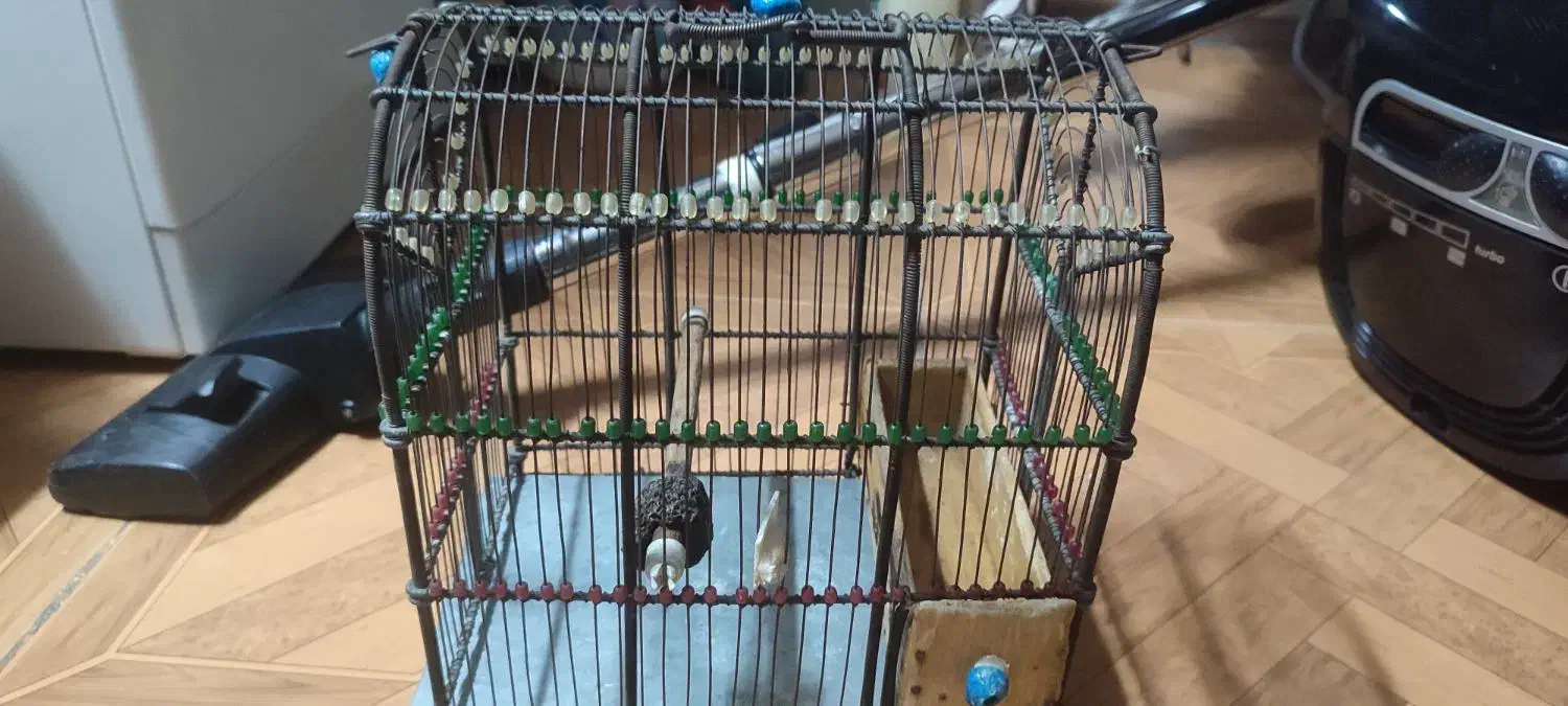 قفس سهره|لوازم جانبی حیوانات|ری, فیروزآبادی|دیوار
