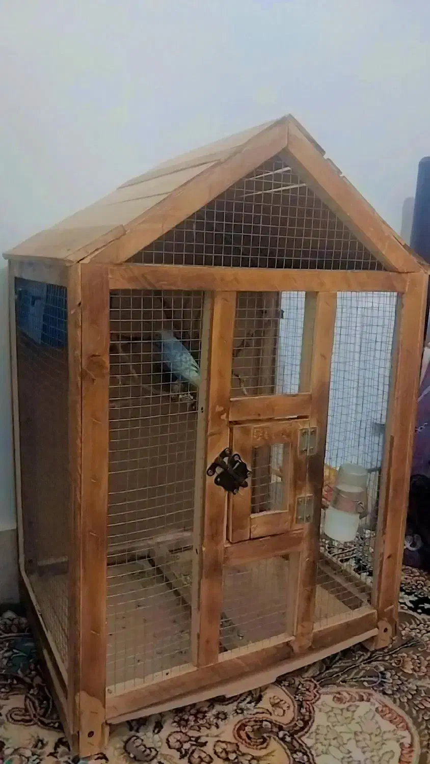 قفس کلبه ای چوبی|لوازم جانبی حیوانات|بردسکن, |دیوار