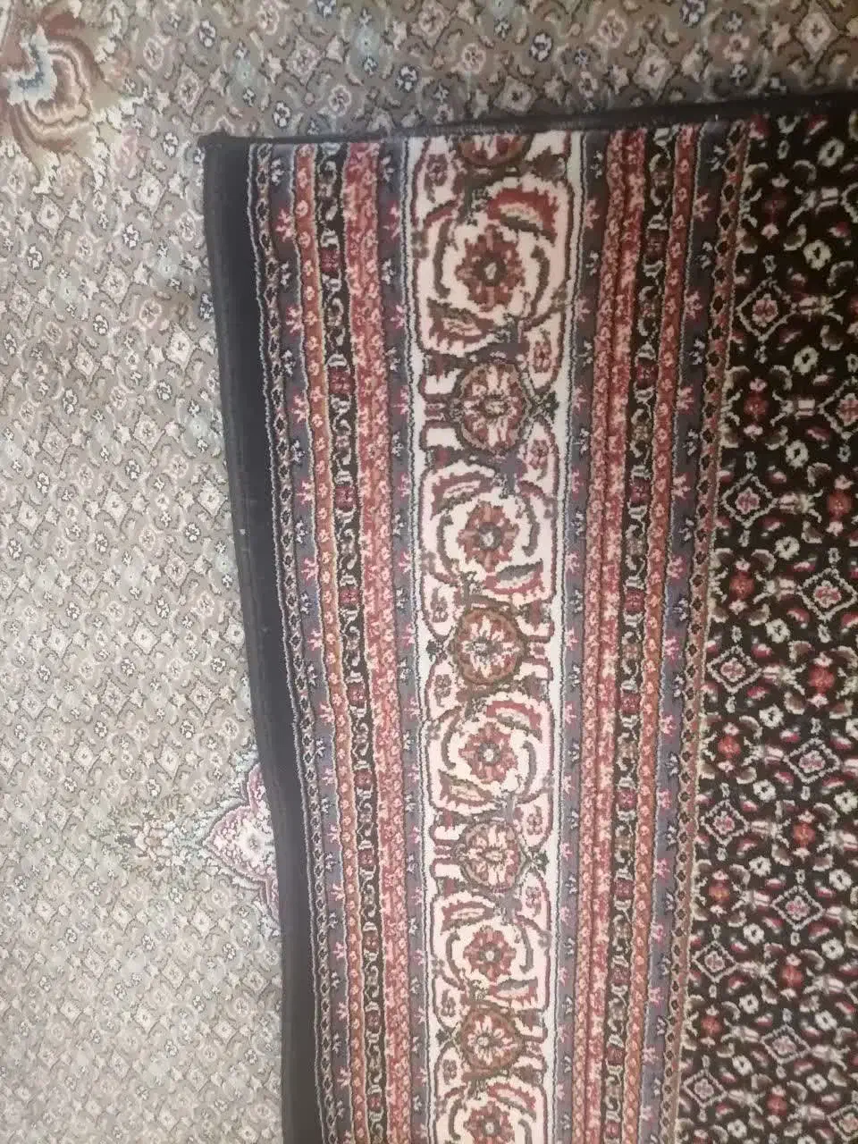 فرش ماشینی|فرش|تهران, هلال احمر|دیوار