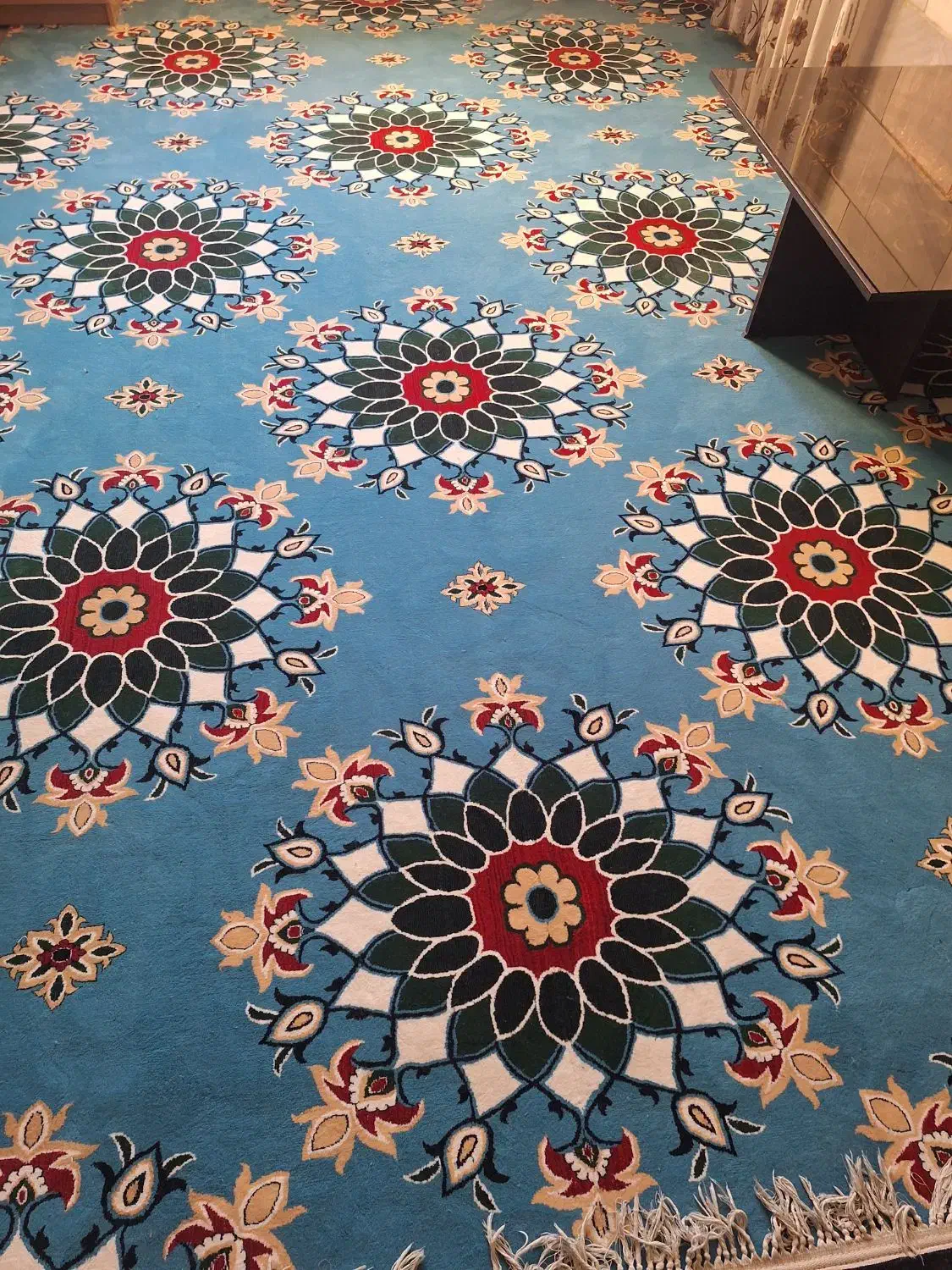 گلیم فرش در حد نو|گلیم، جاجیم، گبه|کرمان, |دیوار