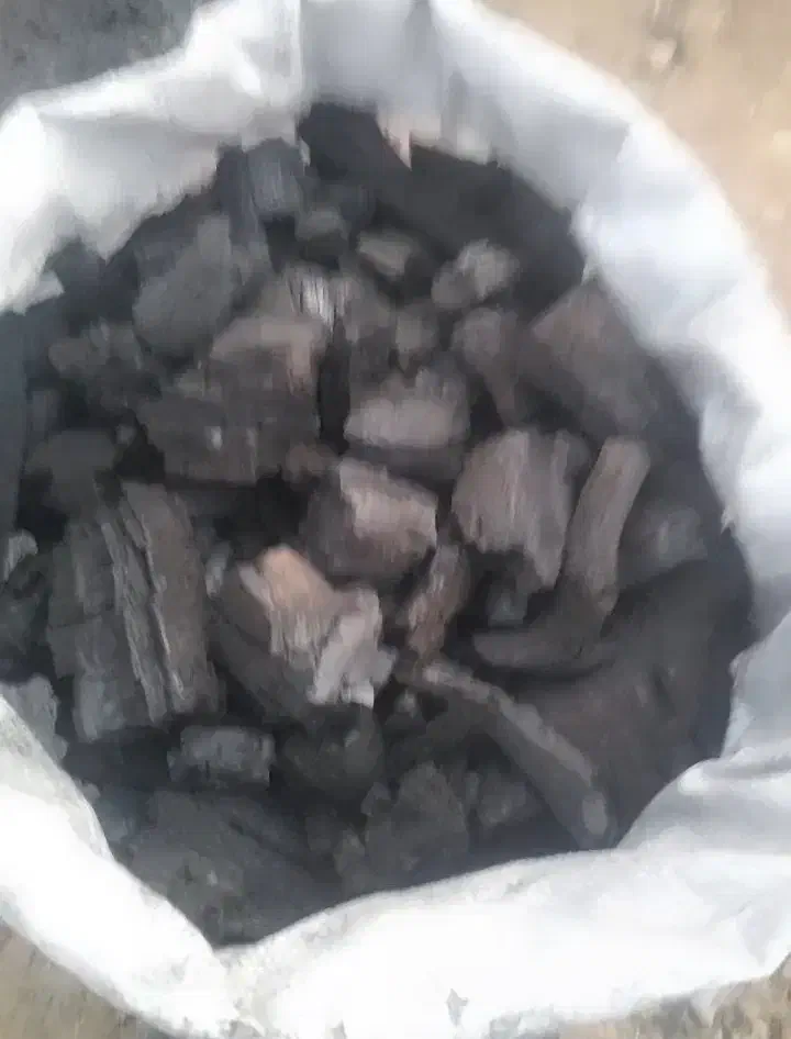 ذغال|فروشگاه و مغازه|دوگنبدان, |دیوار