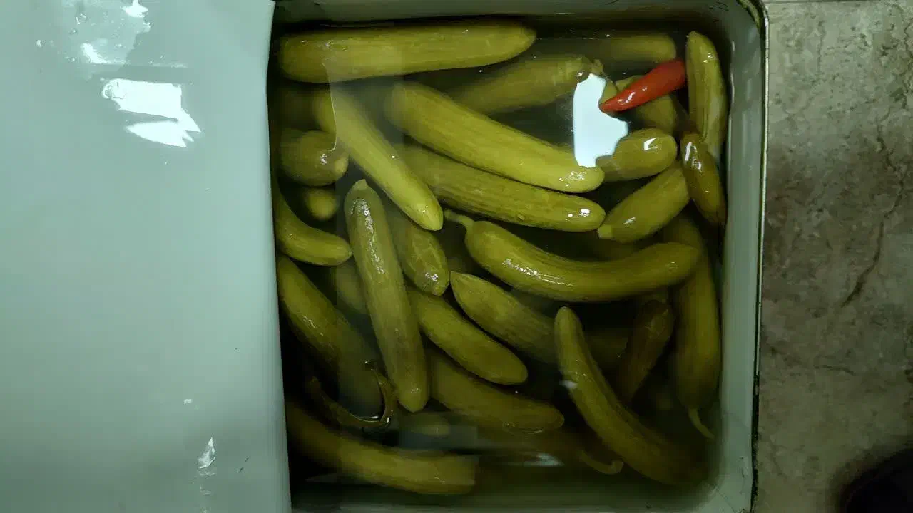 خیارشور فوق العاده|خوردنی و آشامیدنی|ساری, |دیوار