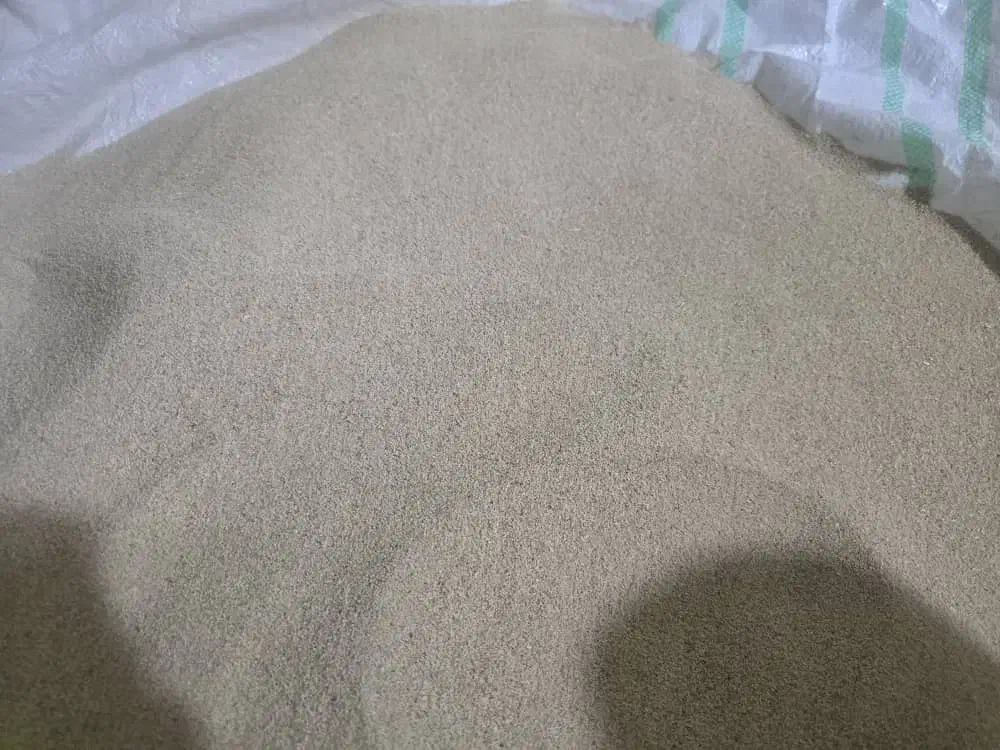 بذر اصلاح شده موجوده|گل و گیاه طبیعی|ایرانشهر, |دیوار