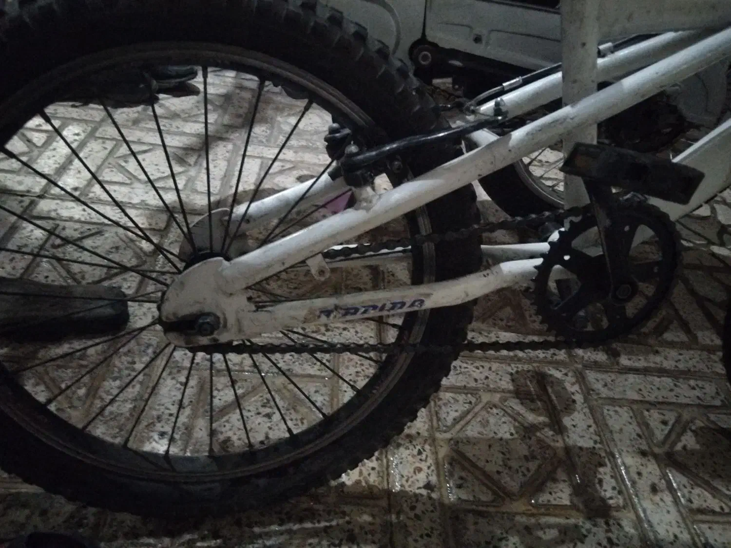 دوچرخه|دوچرخه، اسکیت، اسکوتر|تهران, طیب|دیوار