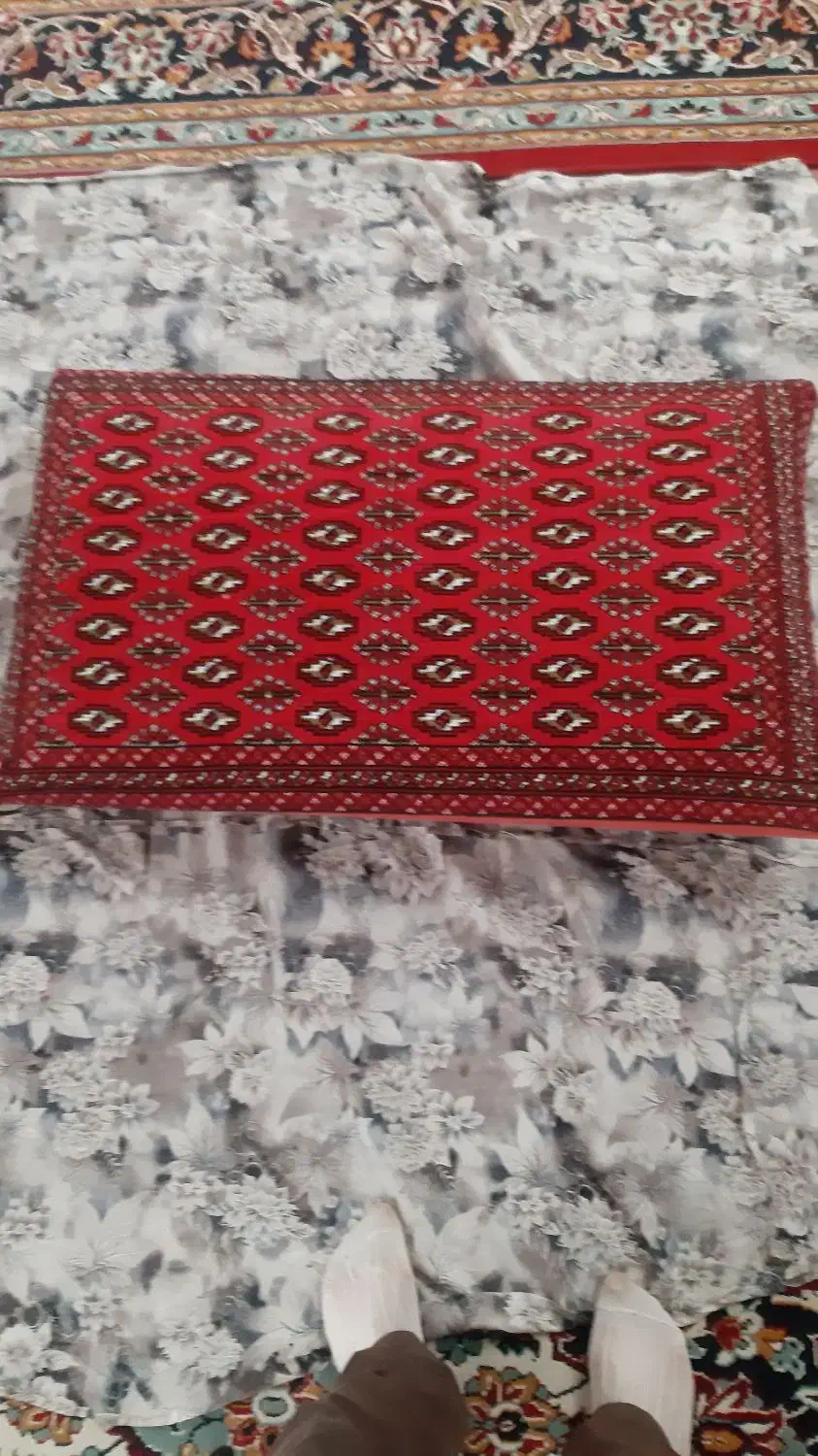 پشتی لاکی|پشتی|سبزوار, امیر کبیر|دیوار