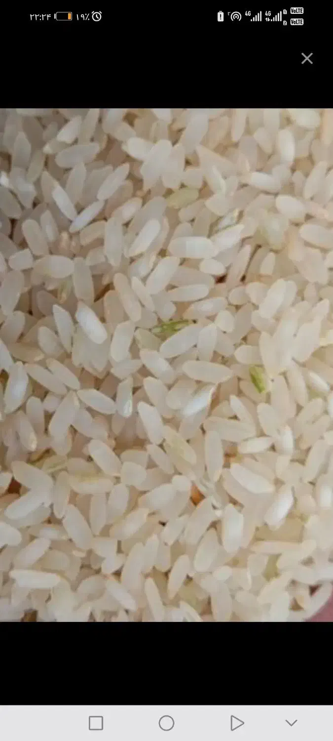 برنج کامفیروزی و خرده برنج کامفیروزی درجه یک بشرط|خوردنی و آشامیدنی|شیراز, شهرک دارایی|دیوار