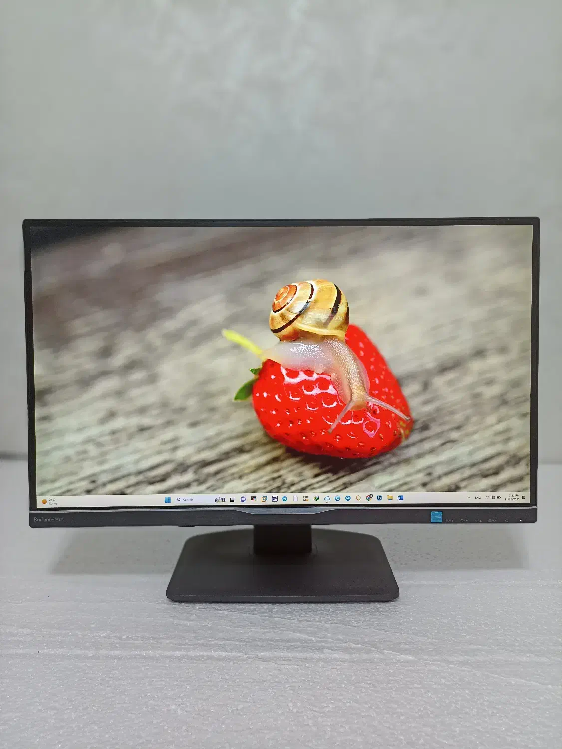 مانیتور 25 اینچ فیلیپس رزولوشن 2K(مناسب گیم،طراحی)|قطعات و لوازم جانبی رایانه|دزفول, |دیوار