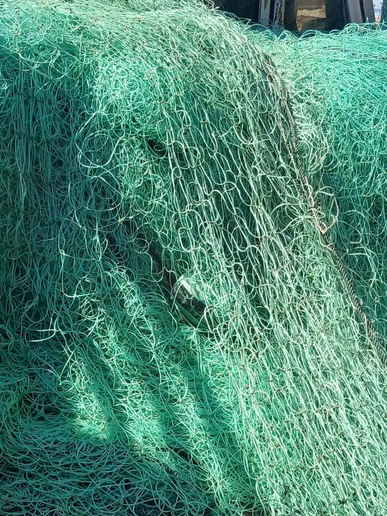 تور شیری ۲۴ و ۲۶ پان|ماهیگیری|بردخون, |دیوار