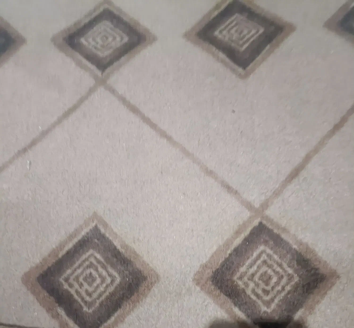 موکت کارکرده|موکت|ایلام, |دیوار