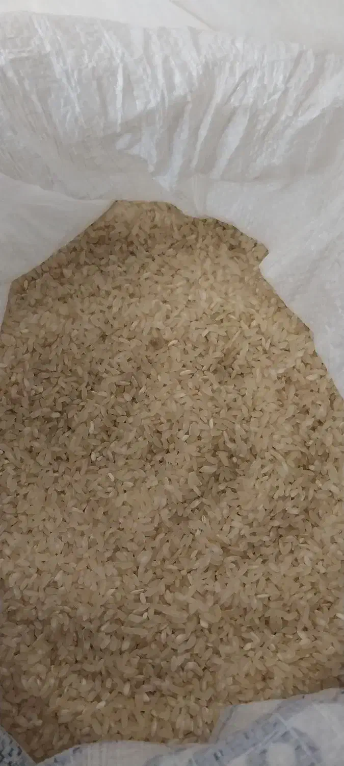 فروش برنج|خوردنی و آشامیدنی|کامفیروز, |دیوار