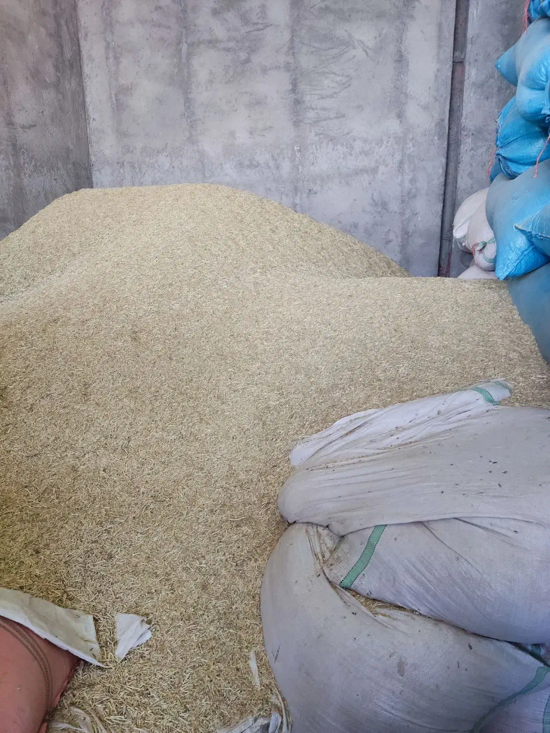 فروش کاه گندم دیم|لوازم جانبی حیوانات|کنگاور, |دیوار