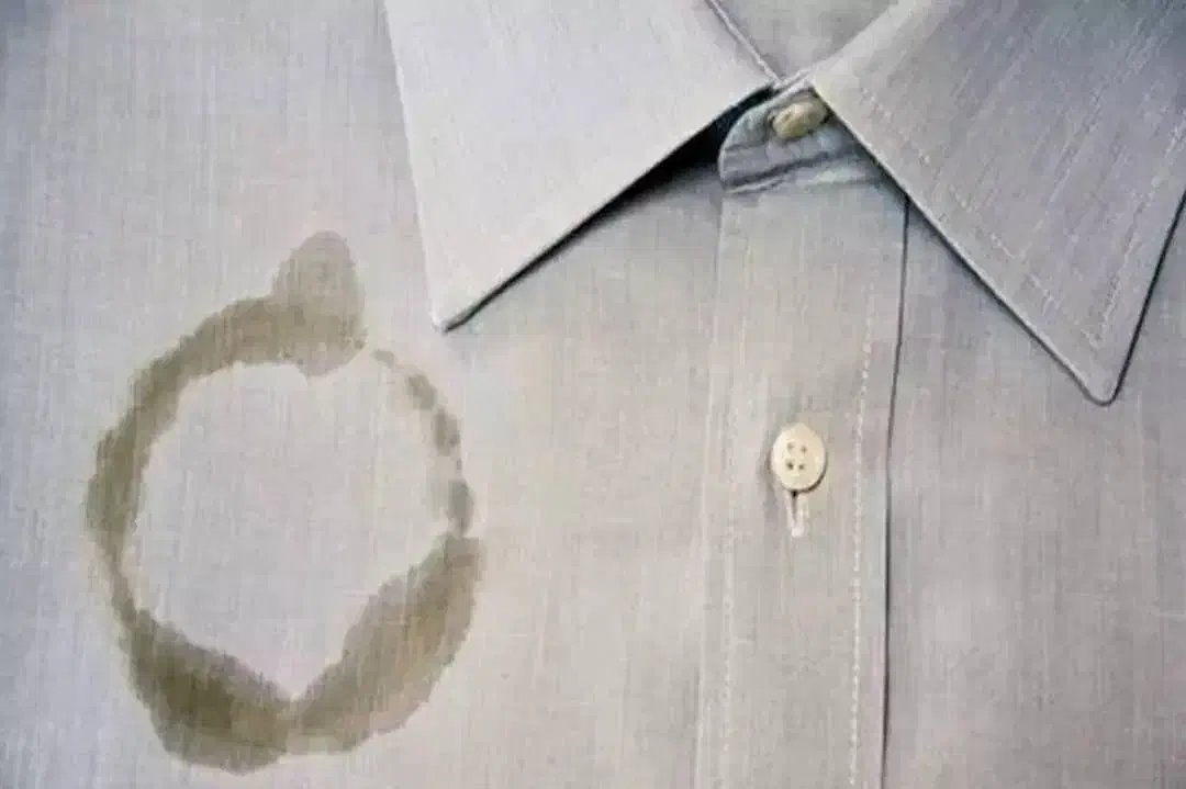 دیگرنگران لکهای سرسخت البسه گران قیمت خود نباشید|خدمات نظافت|شیراز, شهرک امیر کبیر|دیوار