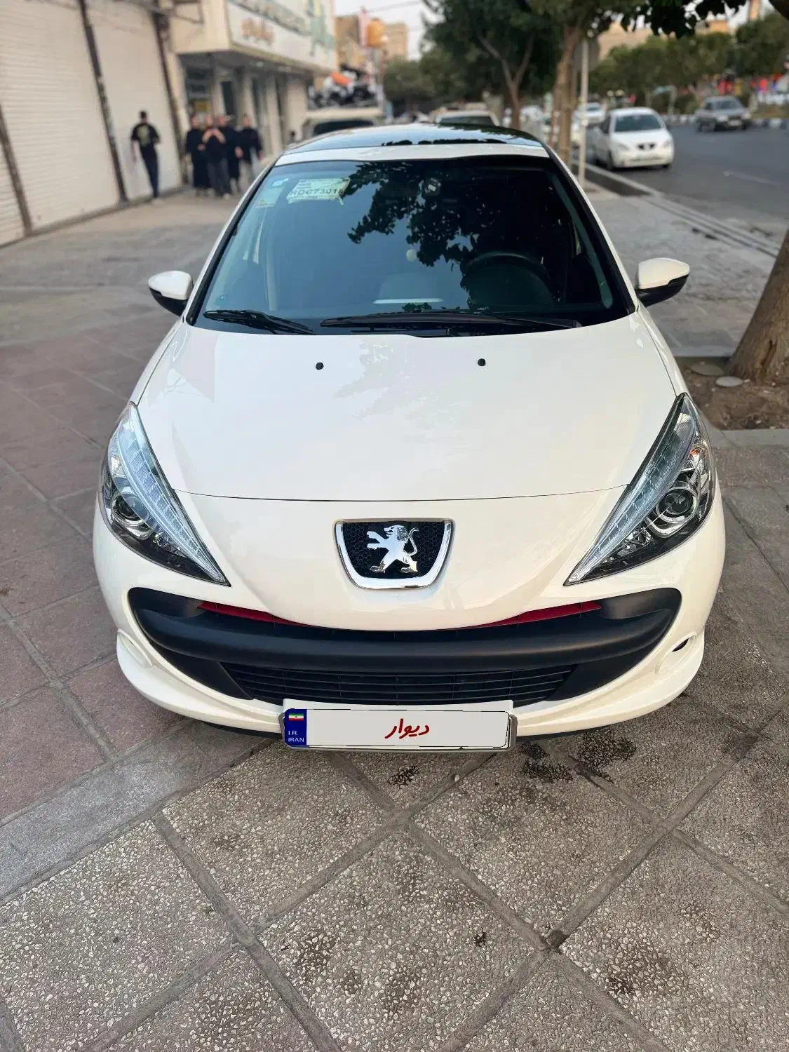 ۲۰۷ پانا بیرنگ|خودرو سواری و وانت|رباط‌کریم, رباط‌کریم|دیوار