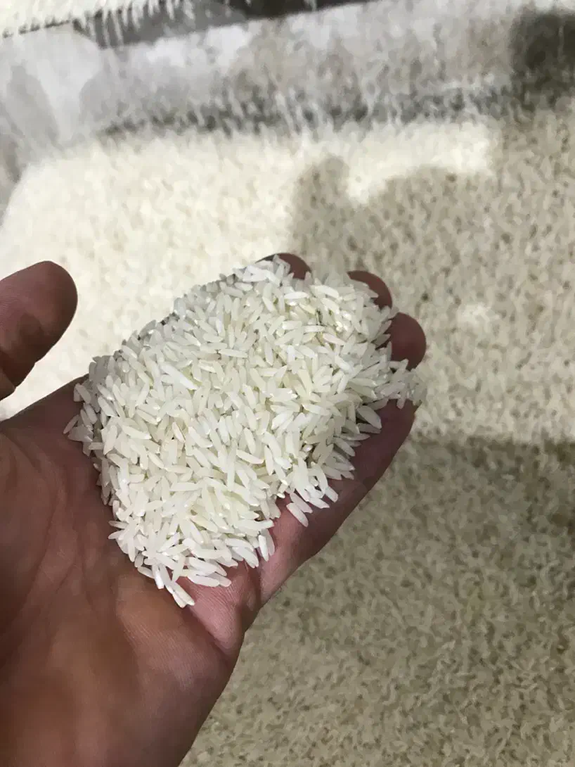 برنج هاشمی درجه ۱ آستانه|خوردنی و آشامیدنی|مشهد, سجادیه|دیوار