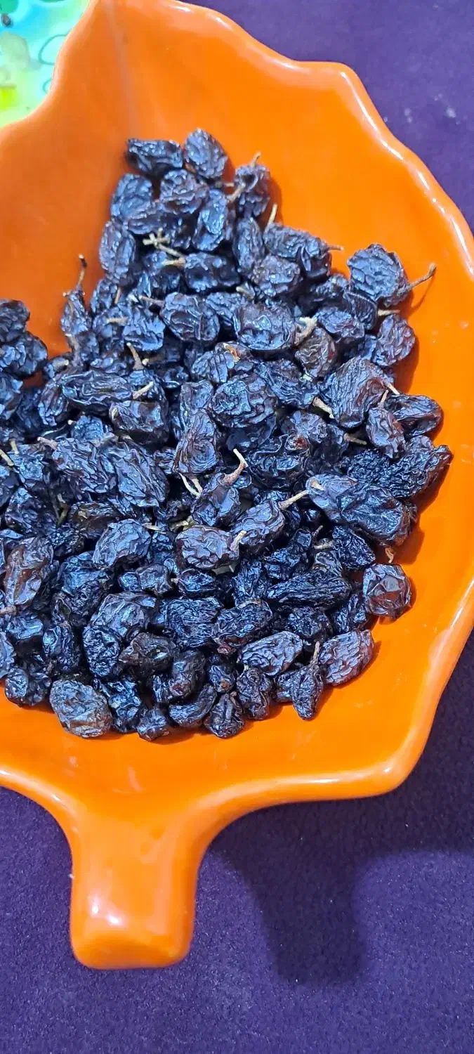 مویز انگور بش|خوردنی و آشامیدنی|شیراز, معالی‌آباد|دیوار