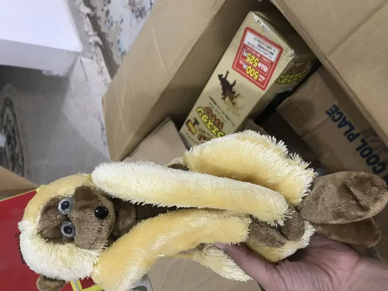 عروسک|اسباببازی|بروجرد, |دیوار