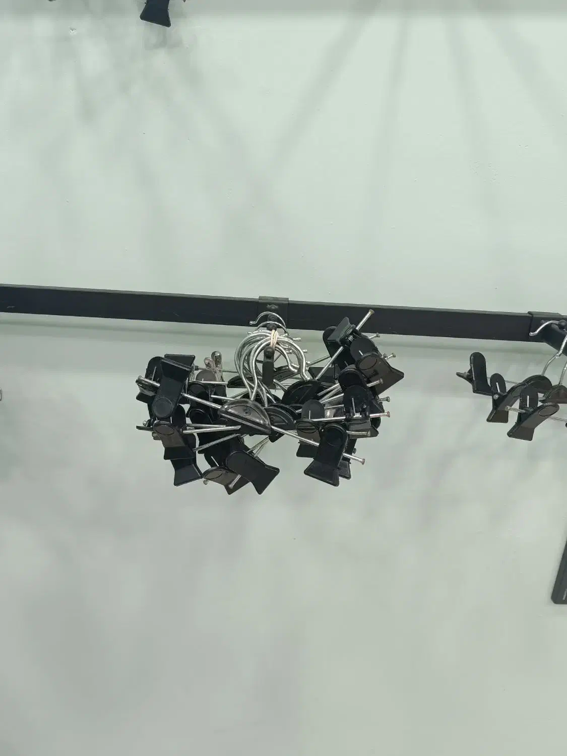 فروش رگال|فروشگاه و مغازه|قشم, |دیوار