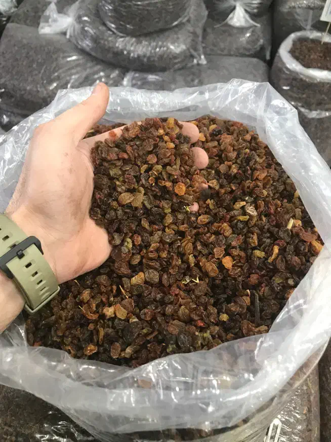 کشمش آفتابی، پلویی ، ضایعاتی ،حلوایی|خوردنی و آشامیدنی|بهارستان, |دیوار