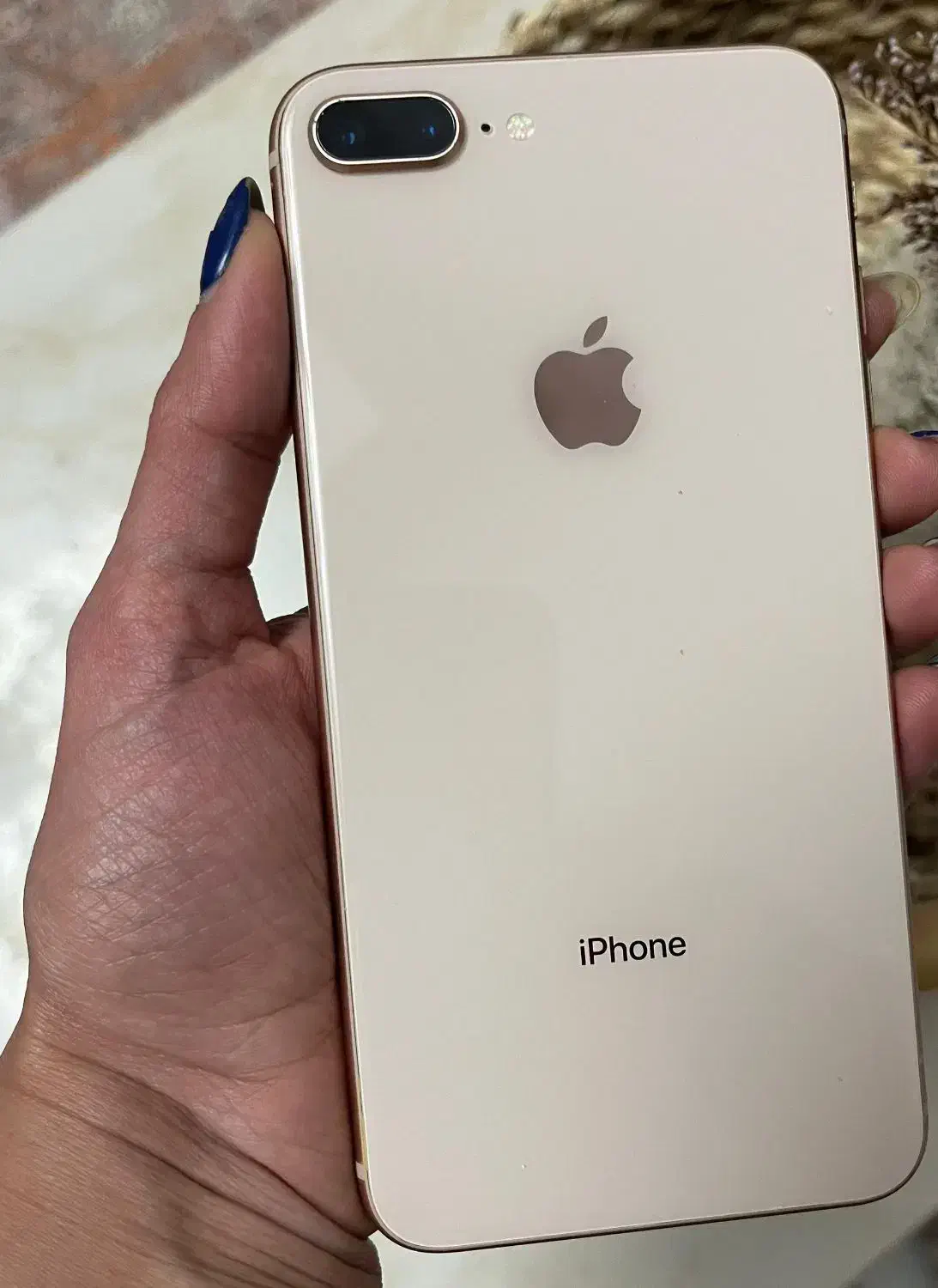 ایفون ۸ پلاس ۲۵۶|موبایل|رشت, شهرک آیت الله منتظری|دیوار