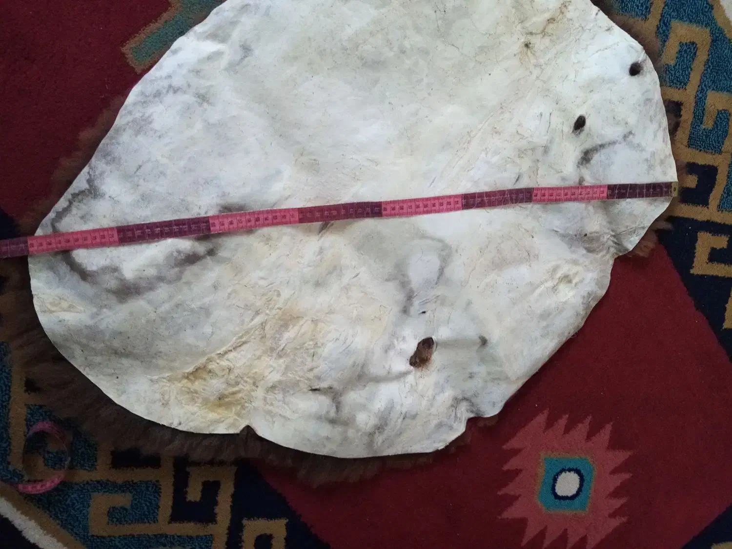 پوست بره|فرش|گرگان, |دیوار