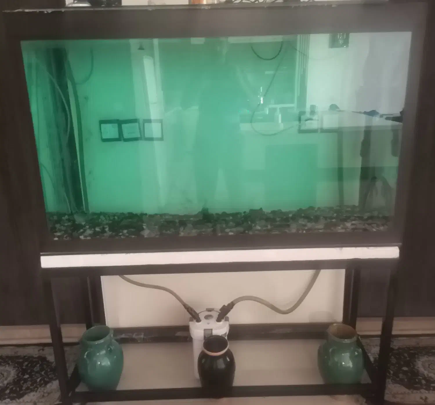 آکواریوم|ماهی|کرمان, |دیوار