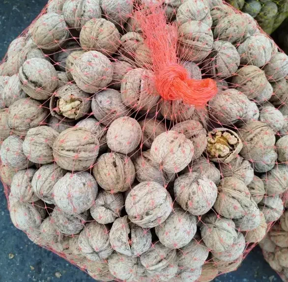 گردو درجه 1|عمدهفروشی|قروه, |دیوار