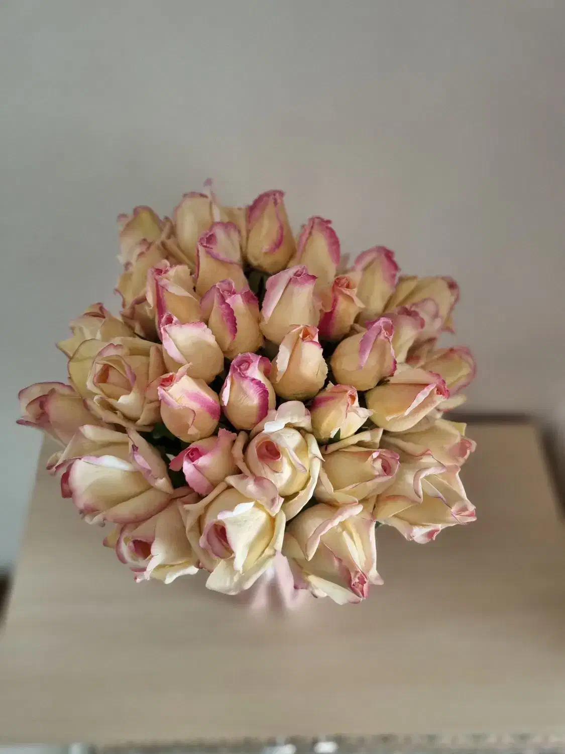 گل وگلدان|گل مصنوعی|الوند, |دیوار