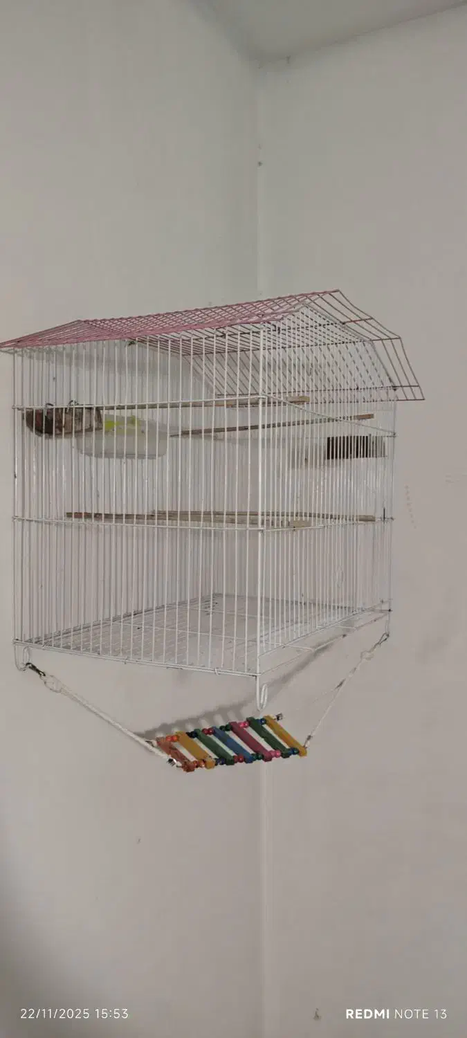 قفس بزرگ 52|لوازم جانبی حیوانات|شیراز, هفت تنان|دیوار