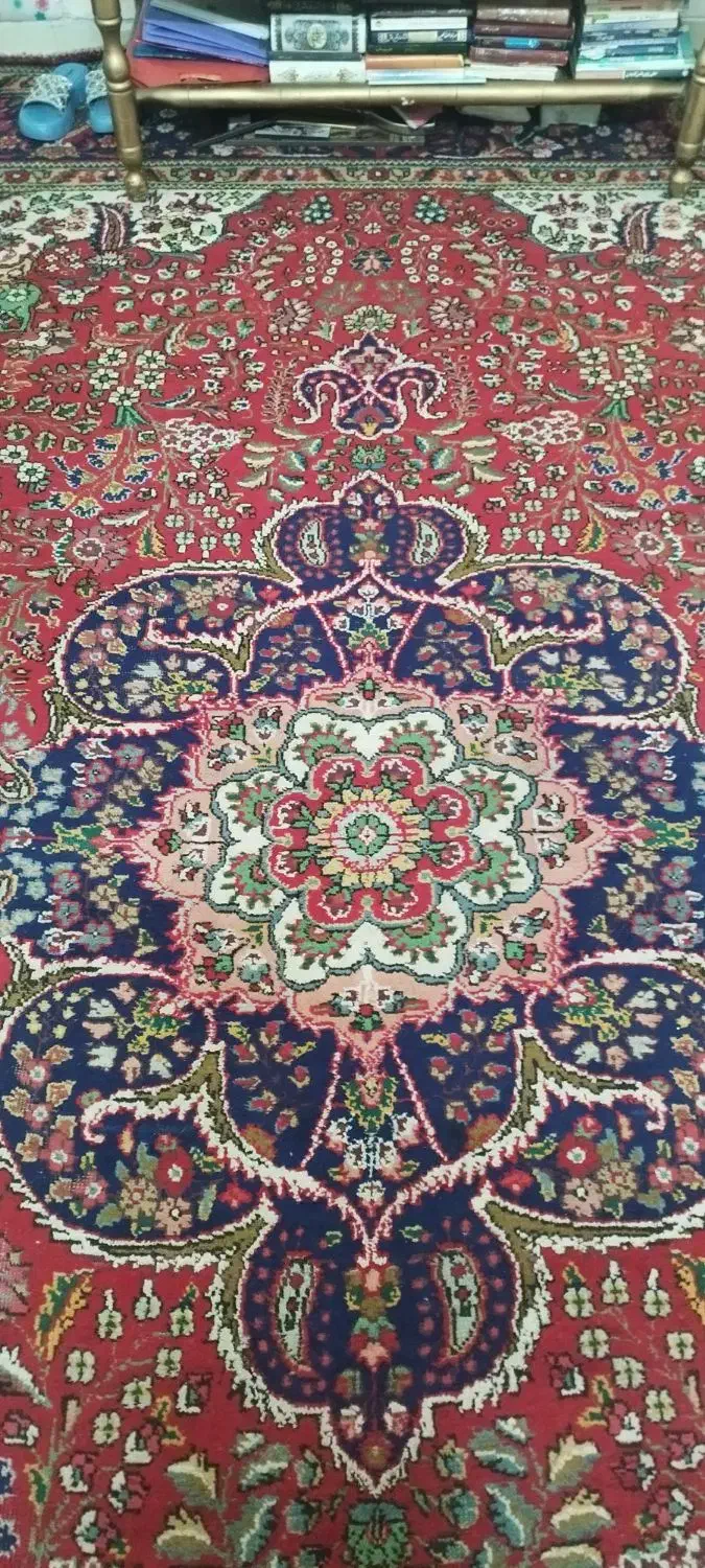 فروش فرش دستباف تبریز|فرش|شیراز, شیخ علی چوپان|دیوار