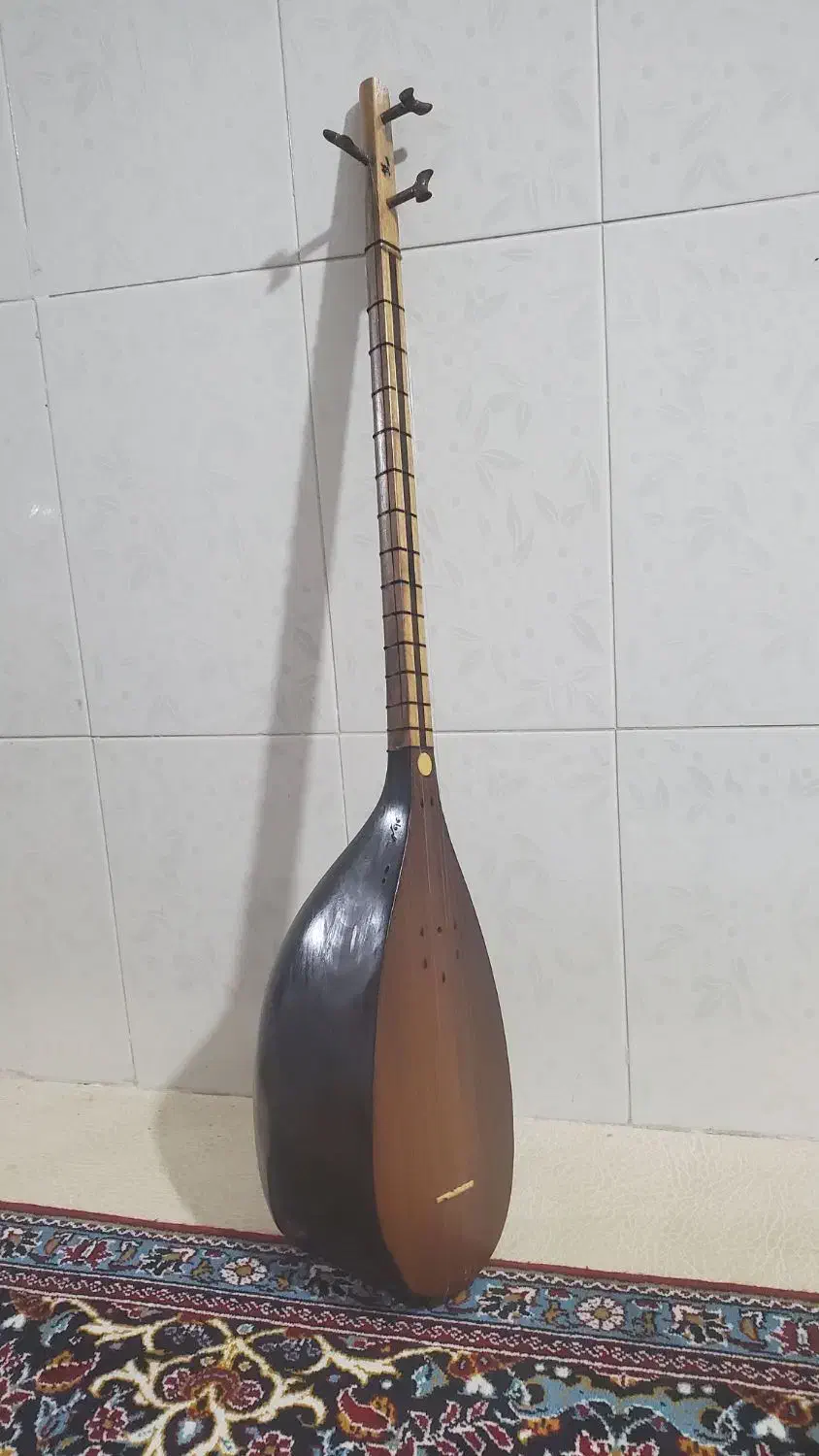 تنبور دو مهر|سازهای سنتی|نهاوند, |دیوار