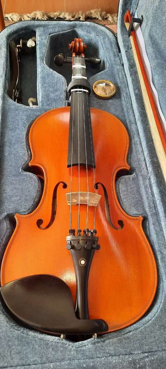 فروش فوری ویولن|ویولن|نور, |دیوار