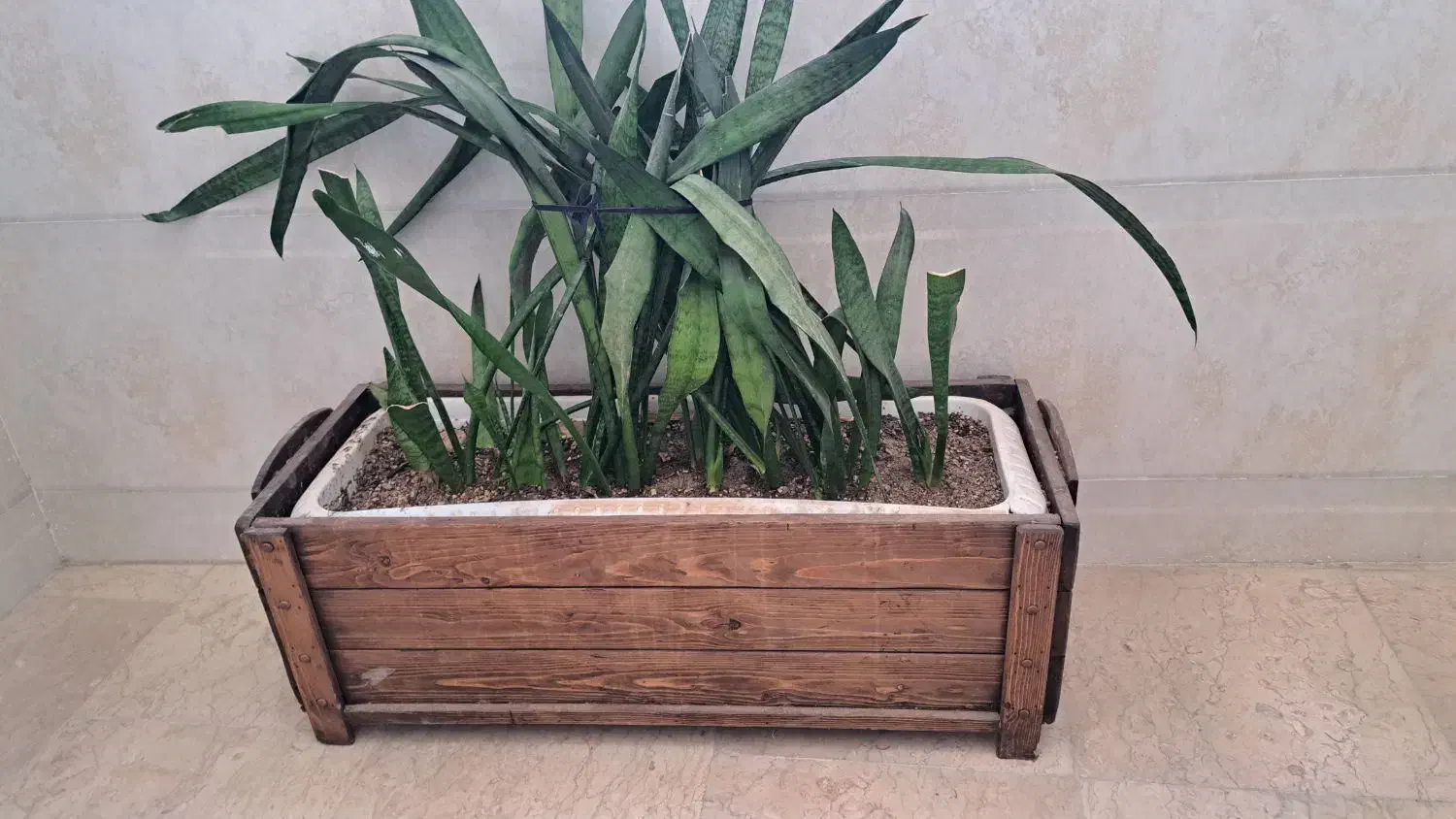 گلدان چوبی ۳۰×۸۰|گل و گیاه طبیعی|شهریار, شهرک امیریه|دیوار