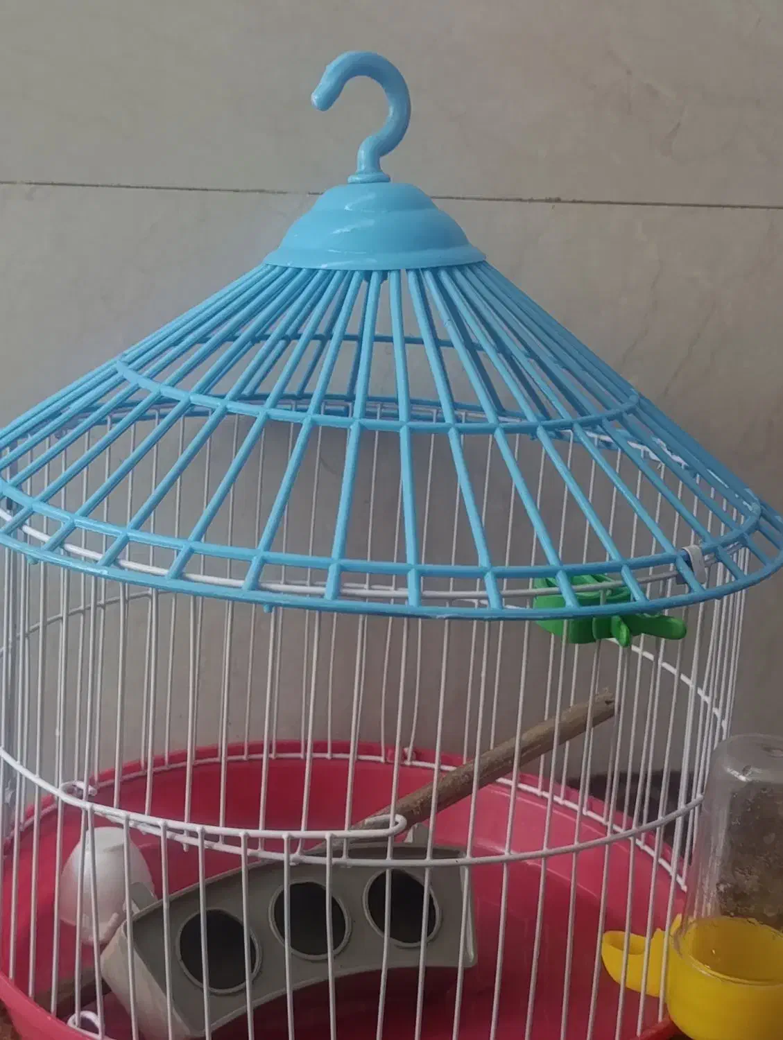 قفس|لوازم جانبی حیوانات|کهنوج, |دیوار