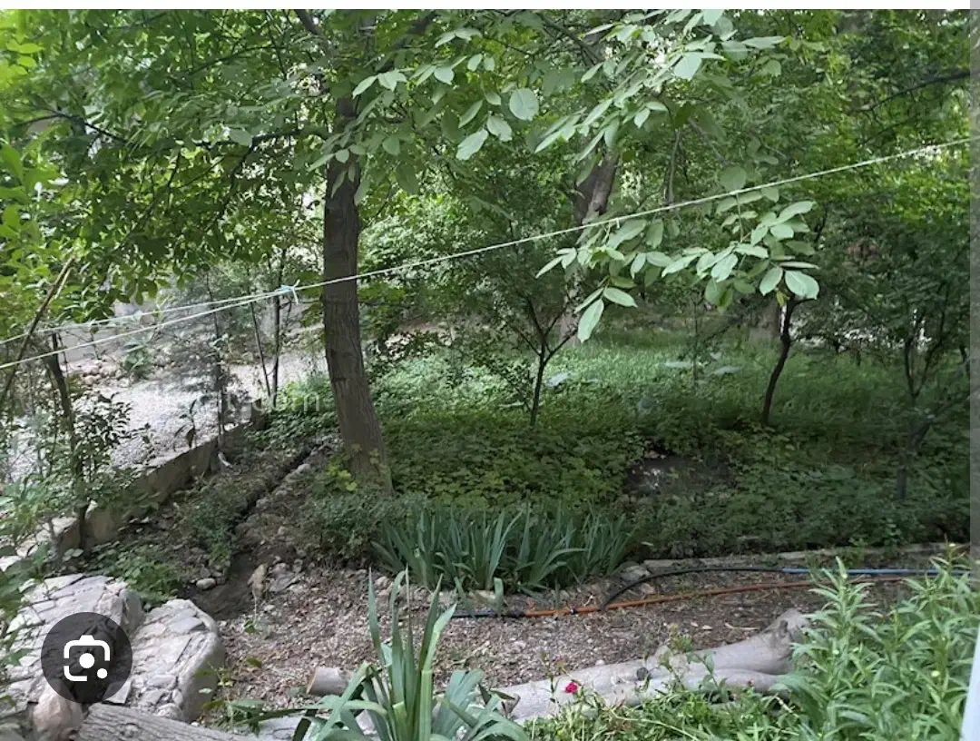 اب باغ|خدمات باغبانی و درختکاری|شاهرود, |دیوار