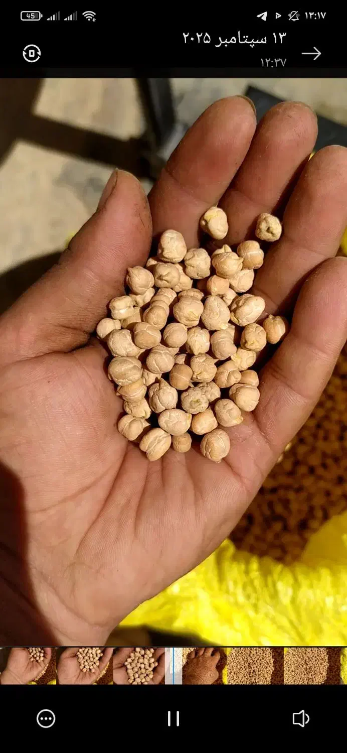 نخود سفید دو‌تن|خوردنی و آشامیدنی|موچش, |دیوار