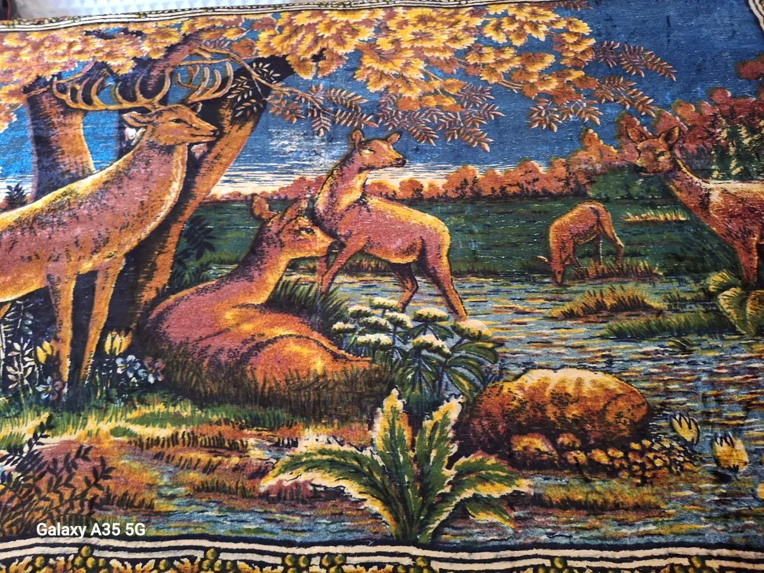 روتختی یک نفره|سرویس روتختی|پرند, فاز ۶|دیوار